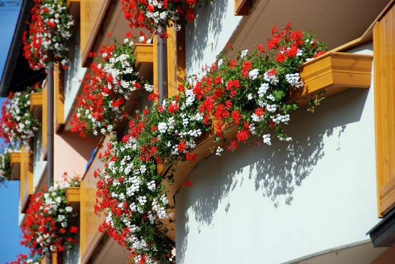 Residence Antares Andalo Exterior photo